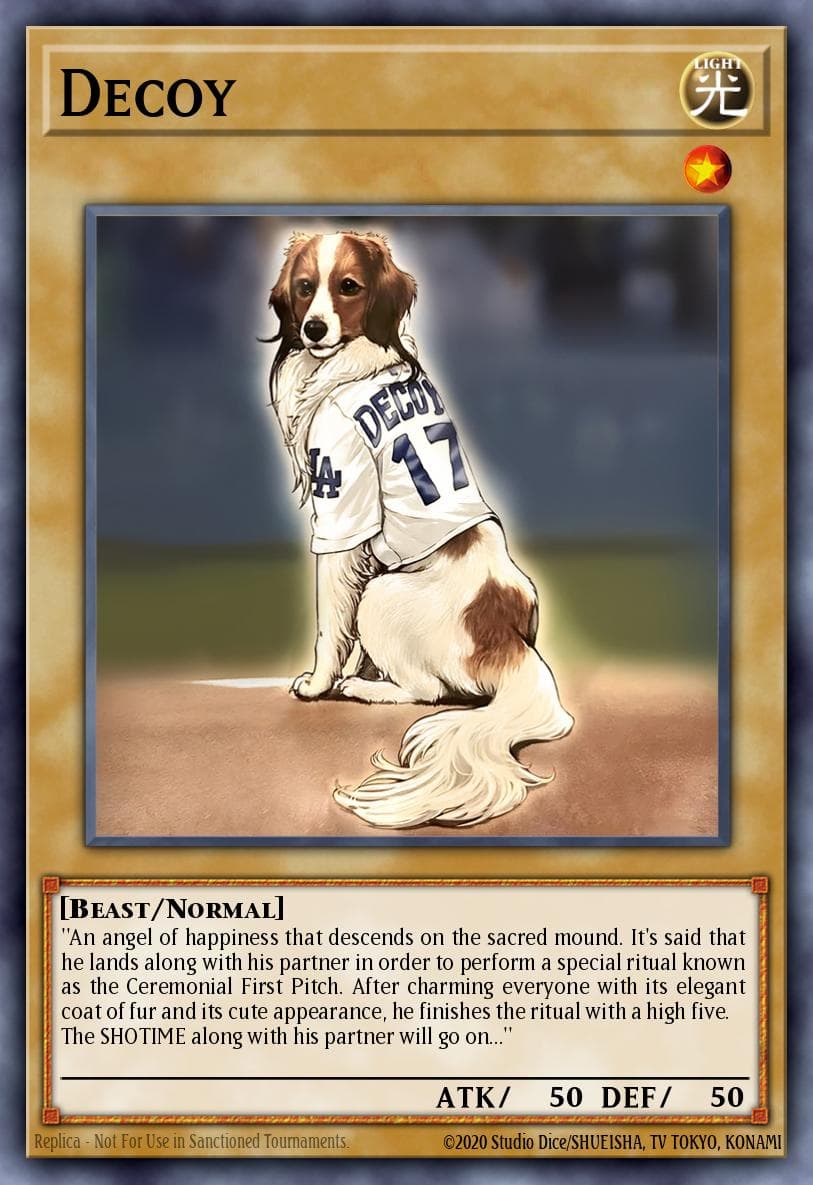 Decoy