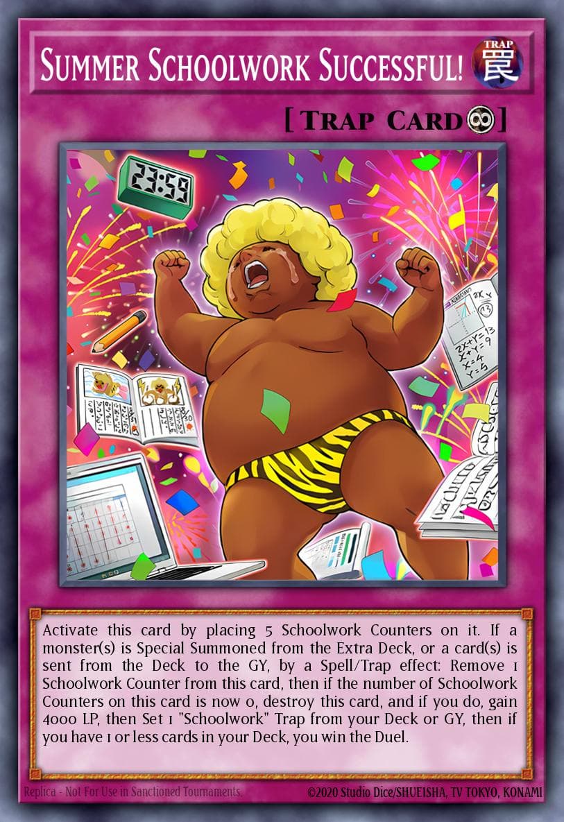 Summer Schoolwork Successful!